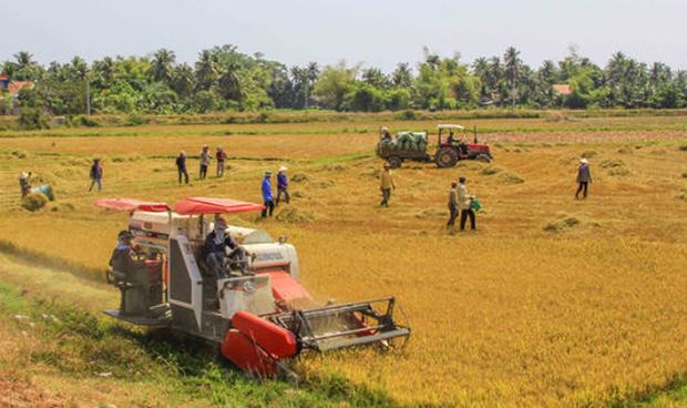 Hợp tác xã ở Khánh Hòa “khát” nguồn nhân lực trẻ có trình độ