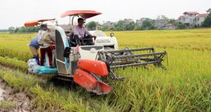 HTX An Ninh Tây sản xuất hàng hóa, liên kết thành viên