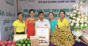 HTX Bảo Minh sức bật kinh tế từ trồng nhãn VietGAP