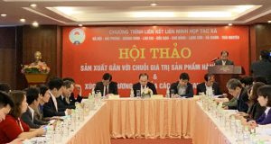 nâng cao vai trò của HTX trong phát trển các mô hình sản xuất theo chuỗi giá trị