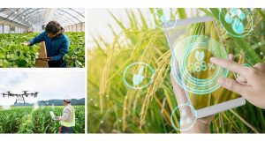 Nghị quyết số 57-NQ/TW:  Khơi dậy trí tuệ Việt – Động lực mới cho phát triển