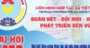 Phê duyệt danh sách thành viên các tiểu ban Đại hội đại biểu toàn quốc Liên minh Hợp tác xã Việt Nam lần thứ VII, nhiệm kỳ 2026-2031