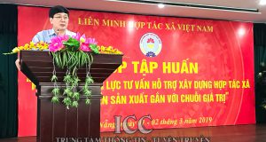 VCA: Tập huấn hỗ trợ xây dựng HTX phát triển sản xuất gắn chuỗi giá trị tại miền Trung