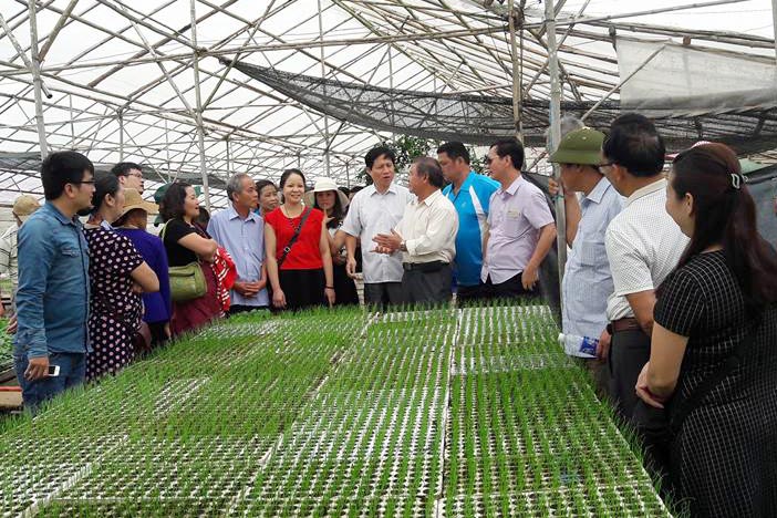Kinh nghiệm chuyển đổi, phát triển HTX nông nghiệp và thủy sản ở CHLB Đức