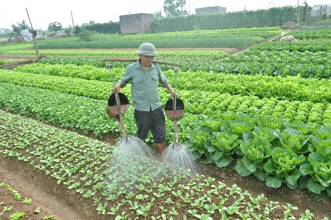 Chốt lại vẫn chỉ có con đường liên kết bền vững