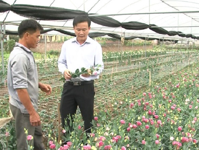 HTX Ninh Phúc: Đẩy mạnh sản xuất, không quên môi trường