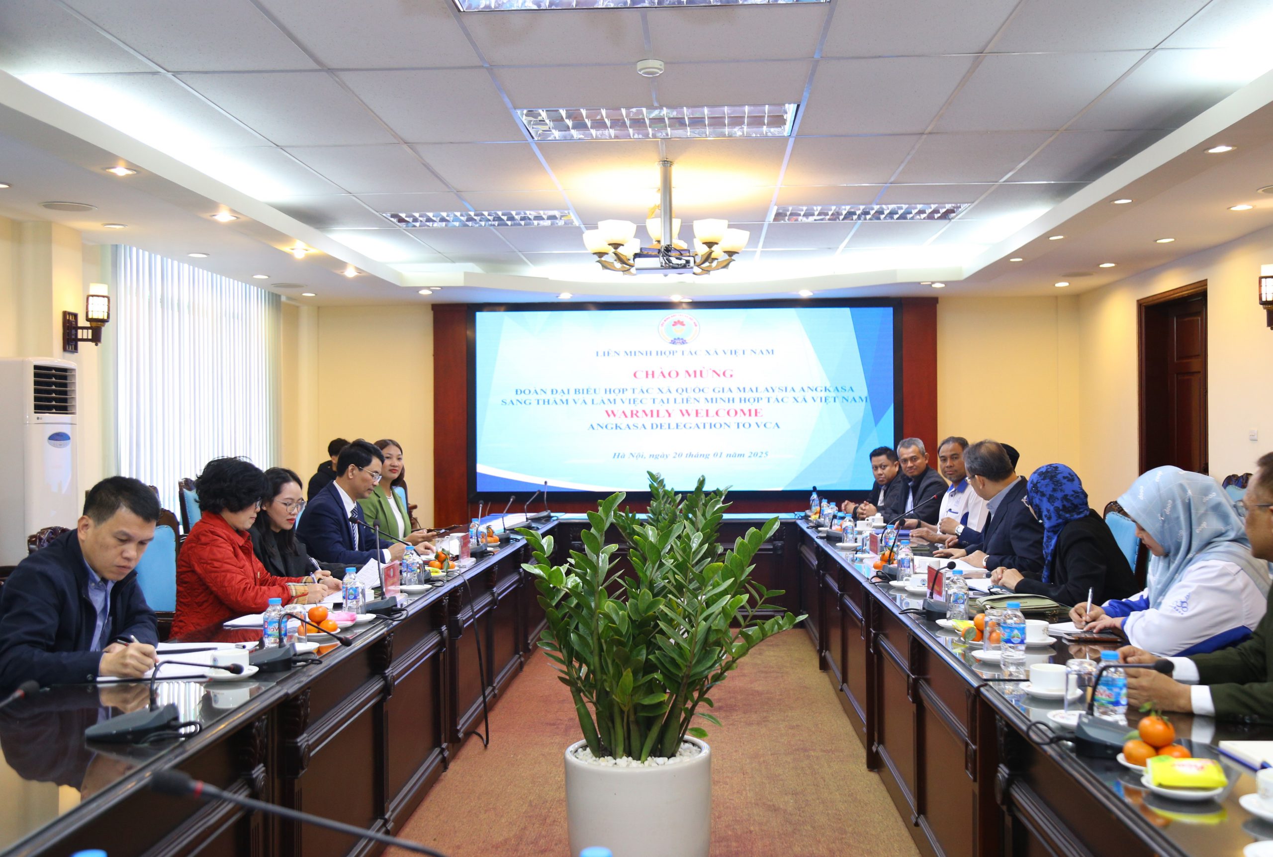 Đoàn đại biểu Hợp tác xã quốc gia Malaysia Angkasa sang thăm và làm việc tại Cơ quan Liên minh Hợp tác xã Việt Nam.